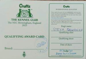 Steva Balkanica crufts